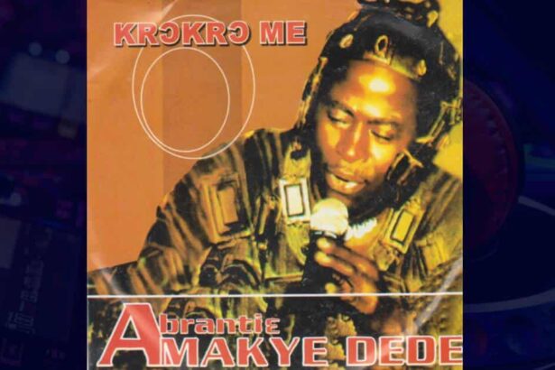 Amakye Dede - Odo Ho Akyere Noa cover image