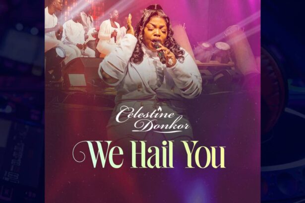 Celestine Donkor - We Hail You cover image