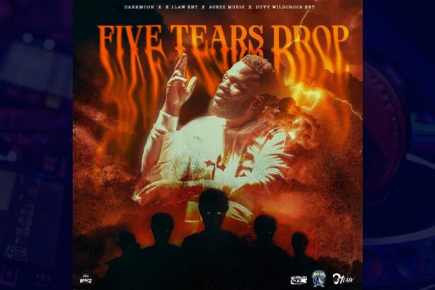 Chronic Law - Five Tears Drop cover image