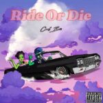 Cool Boii - Ride Or Die cover image