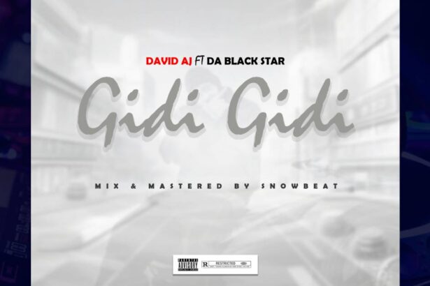 David AJ - Gidi Gidi cover image