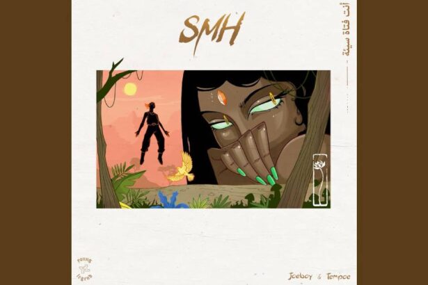 Joeboy - SMH cover image