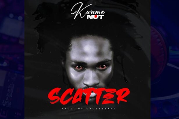 Kwame Nut - Scatter cover image