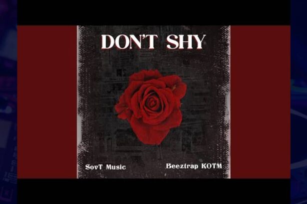 SovT Music - Don't Shy cover image