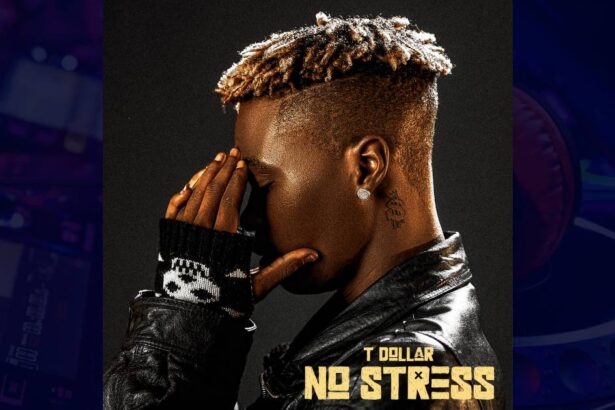 T Dollar - Ginger cover image