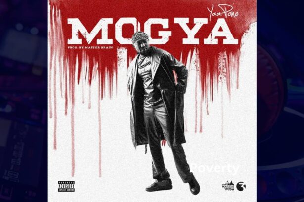 Yaa Pono - MOGYA cover image