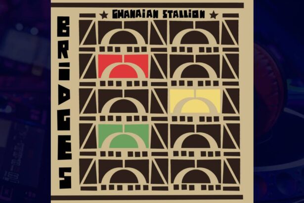 Ghanaian Stallion - Bus Station cover image