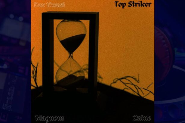 Magnom - Top Striker cover image