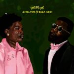 Sh3lter - Ama cover image