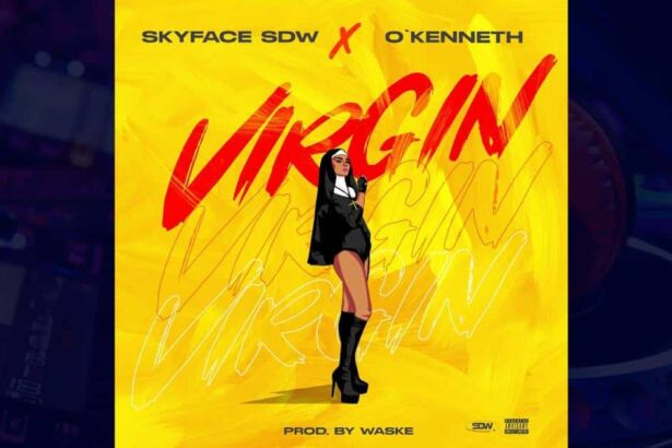 Skyface SDW - Virgin cover image