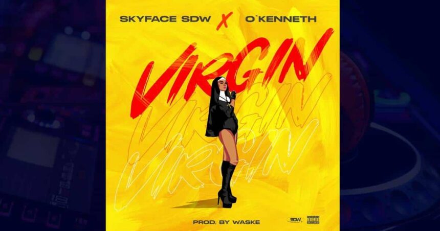 Skyface SDW - Virgin cover image
