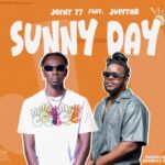 Joint 77 - Sunny Day cover image