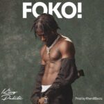 King Paluta - Foko cover image