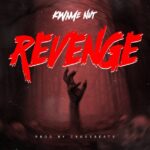 Kwame Nut - Revenge cover image