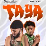 Nickle Kay - Taya cover image