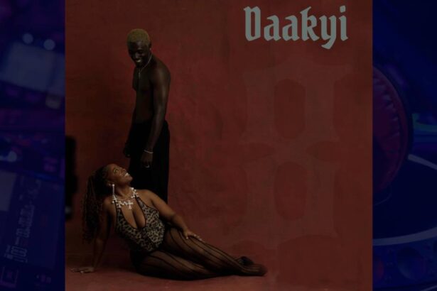 Rjz - Daakyi cover image