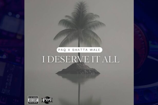 PAQ - I Deserve It All cover image