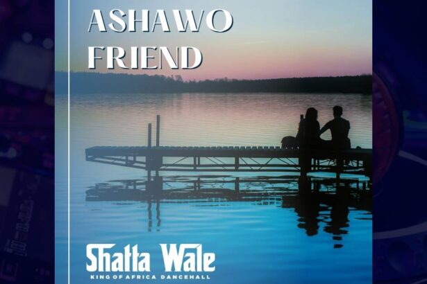 Shatta Wale - Ashawo Friend cover image