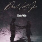 Shatta Wale - Don't Let Go cover image