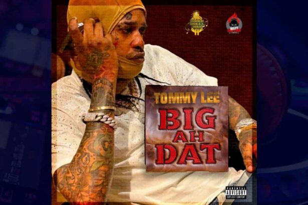 Tommy Lee Sparta - Big Ah Dat cover image