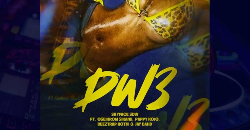 Skyface SDW - Dw3 cover image