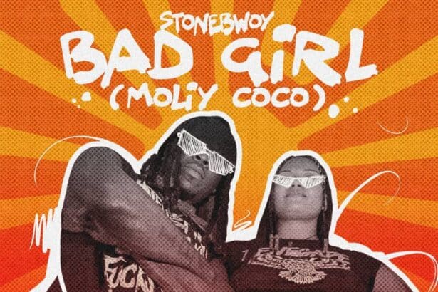 Stonebwoy - Bad Girl (Moliy Coco) cover image