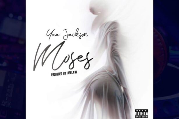Yaa Jackson - Moses cover image