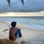 Kwesi Dain - Time & Season cover image