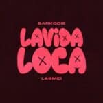 Sarkodie - Lavida Loca cover image