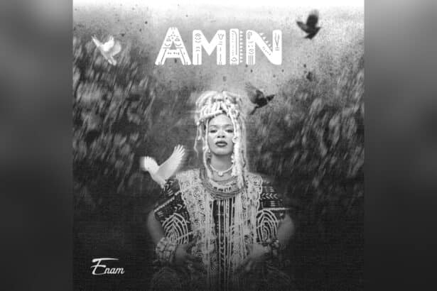 Enam - Amin cover image