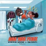 Kwaw Kese - Ama Yare Fever cover image