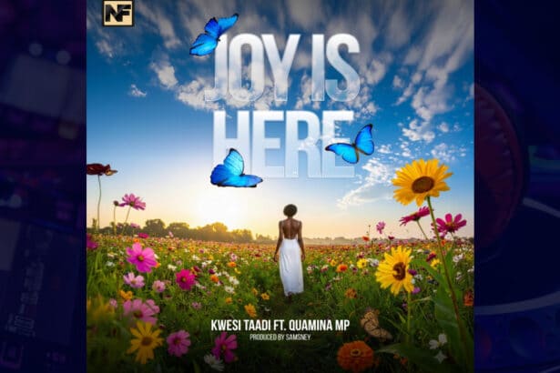 Kwesi Taadi - Joy Is Here cover image