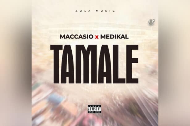 Maccasio - Tamale ft. Medikal cover image