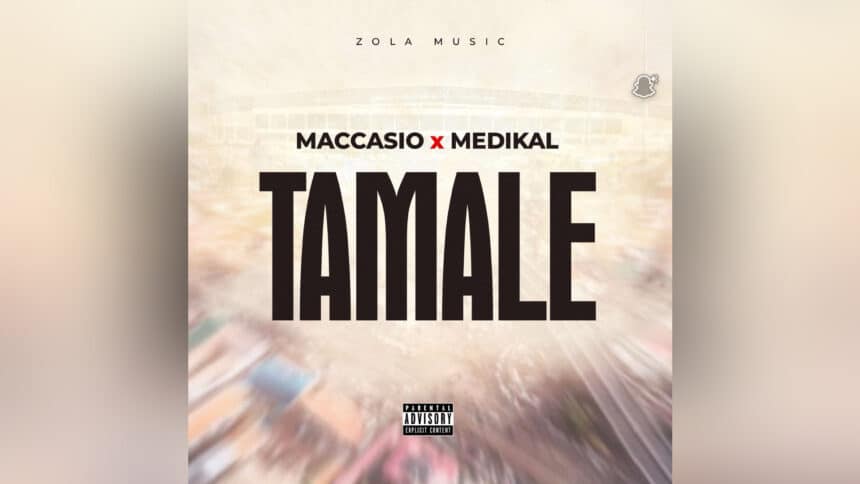 Maccasio - Tamale ft. Medikal cover image
