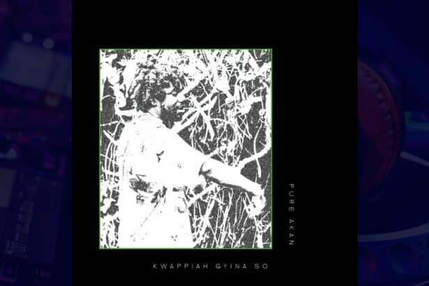 Pure Akan - Kwappiah Gyina So cover image