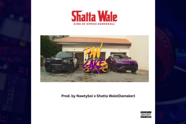 Shatta Wale - Pancake cover image