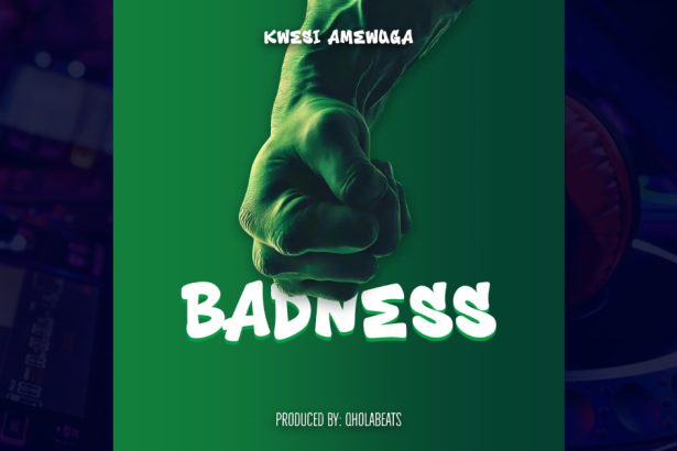 Badness by Kwesi Amewuga cover image