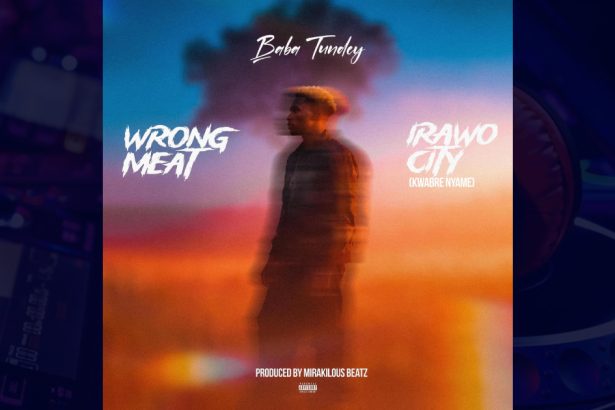 Wrong Meat by Baba Tundey cover image
