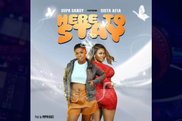 Here to Stay by Supa Sandy