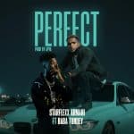 Perfect by Starflexx Armani