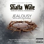 Shatta Wale - Jealousy
