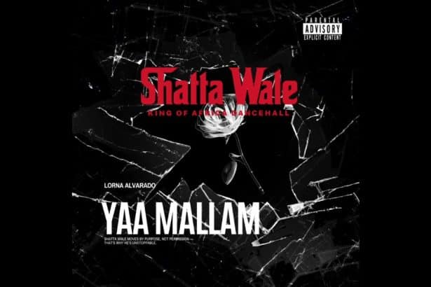 Yaa Mallam by Shatta Wale