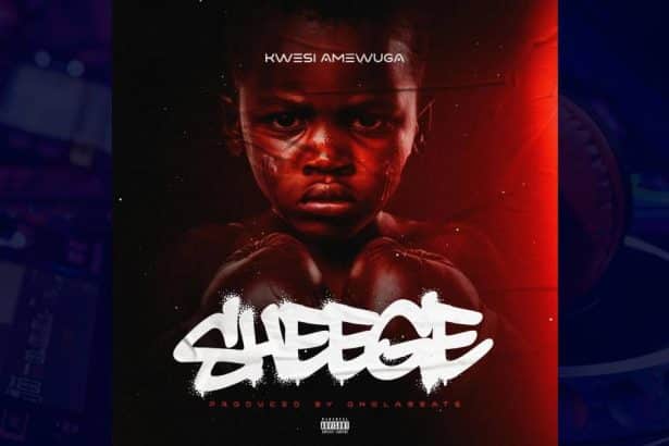 Kwesi Amewuga - Sheege