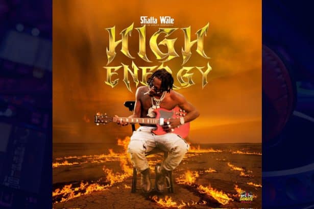 Shatta Wale - High Energy