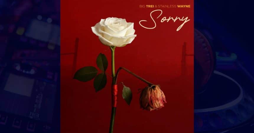 Big Trei - Sorry
