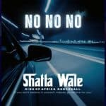 Shatta Wale – No No No